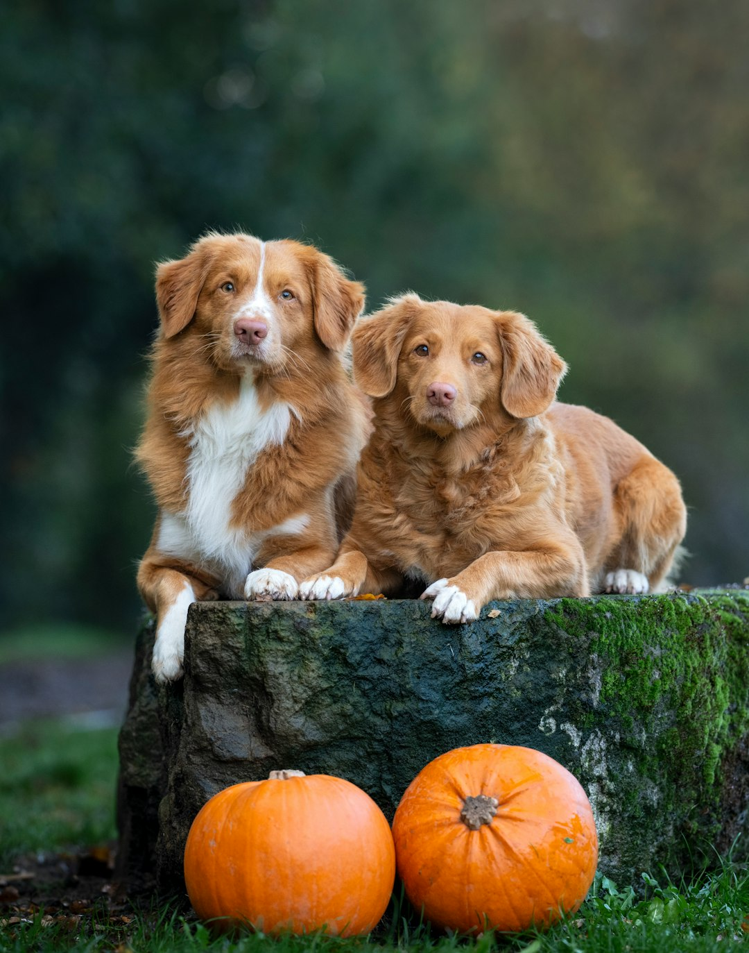 5 Critical Property Management Mistakes Even Experienced London Landlords Make